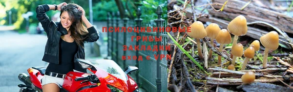 метадон Зеленокумск