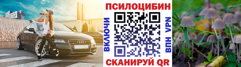 Купить  Зеленодольск  Галлюциногенные грибы Psilocybe 